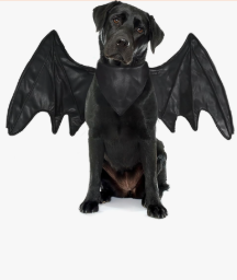 Onmygogo Funny Pet Reindeer Moose Costumes for Dog, Cute Furry Pet Wig for Halloween Christmas, Pet Clothing Accessories