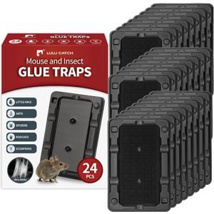 LULUCATCH Mouse & Insect Traps 24 Pack, Heavier Sticky Traps with Non-Toxic Glue for Small Mice & Insects. Sticky Mouse Traps Indoor for Home, Easy to Set