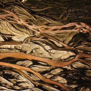 Psychagogue, Vinyl