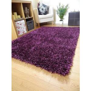 Soft Shaggy Carpet for Living Room/Bed Room, 24x70, Purple 