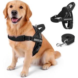 FAYOGOO Service Dog Vest for Large Sized Dogs,Lightweight Service Dog Harness with Adjustable Chest Strap,No-Pull No-Chock Escape Proof Dog Harness for Walking Training, L