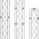 Arcadia Garden Products TR02 Arched Garden Trellis, 5' x 10", Black