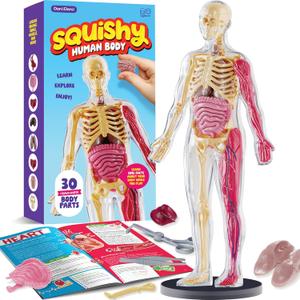 Dan&Darci Human Anatomy Squishy Body Model - Science Kits for Kids Ages 4-8 - STEM Toys for 4 5 6 7 8 Year Old Boy Birthday Gift - Learning Educational Toys for Ages 5-7 Boys Gifts - Skeleton Parts