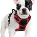 rabbitgoo Dog Harness No Pull with 2 Leash Clips, Adjustable Soft Padded, Reflective Oxford No Choke Pet Vest with Easy Control Handle for Small Dogs, Black & Red, S