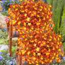 Uieke 72PCS Artificial Mums for Outdoors Fake Fall Outdoor Lavender Flowers Orange Calla Lilly and Autumn Daisy Mums Flowers No Fade for Outside Window Box Porch Planters Garden Thanksgiving Decor