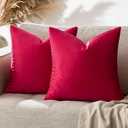 GIGIZAZA Red Velvet Decorative Throw Pillow Covers 18x18 for Sofa Bed 2 Pack Soft Cushion Covers
