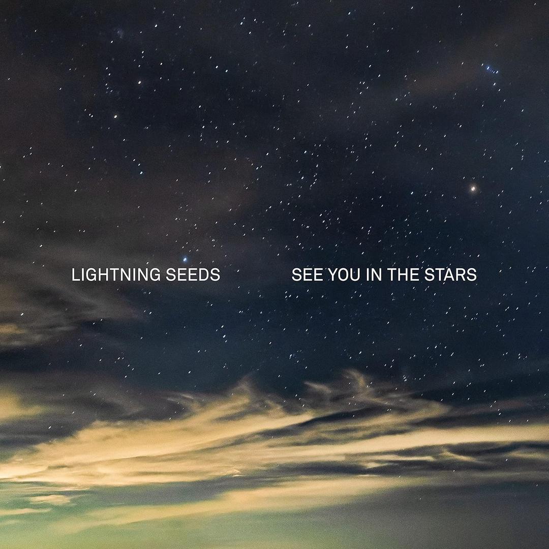See You in the Stars, Vinyl