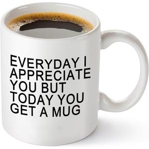 2 x Perfect Birthday Mug Gift for Dad, Funny Everyday I Appreciate You But Today You Get A Mug Coffee Mug from Son Daughter, Humorous Birthday Cup Gift - 11oz White Ceramic Cup