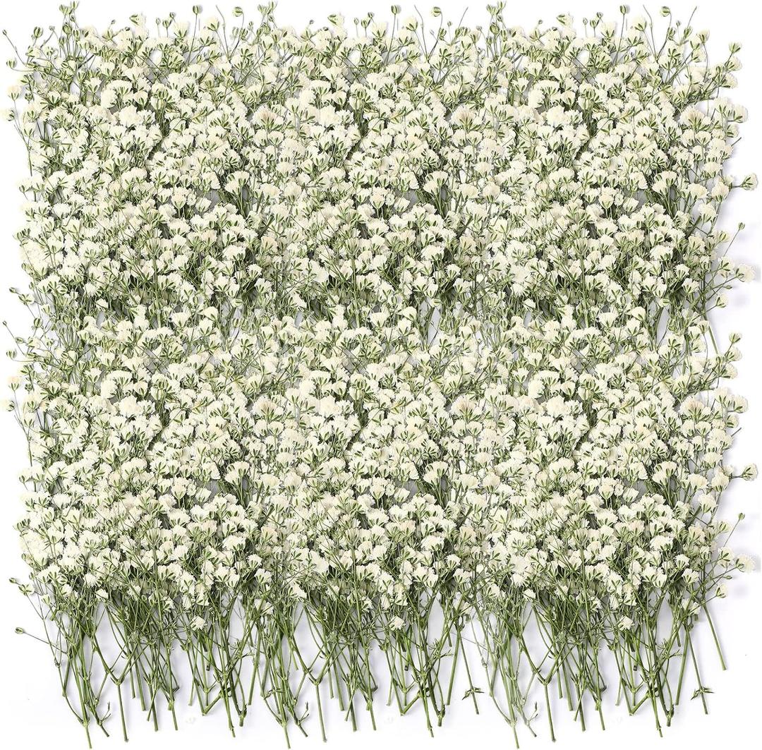 Tinideya 100 Pcs Dried Babys Breath Flowers Bulk Babys Breath Real Pressed Flowers Natural Gypsophila for Resin Wedding Art Craft Baby Shower DIY Invitations Scrap Booking Card Making(Ivory White)