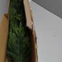 1 Pcs 4FT Artificial Christmas Norfolk Pine Tree for Front Porch Decoration