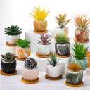 Marbling Ceramic Flower Pot 3.35 Inch Succulent Small Plant Cactus Herbs Planter Ceramic Pot with Drainage Hole Matte Round Container(12 Pcs,Simple Style)