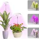 Halo Ring Grow Lights for Small Indoor Plants, Red+Blue+Yellow Light Full Spectrum LED Plant Light, Height Adjustable with 5V 2A Adapter, 3/9/12H Timer & 10 Dimmable Levels, Angel Ring 2 Pack