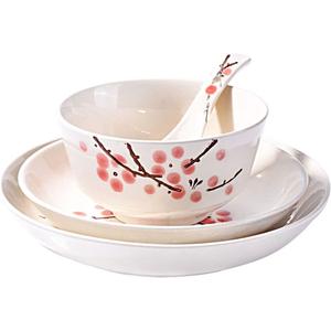 4-Piece Dinnerware Set, Plates, Dish, Bowl, Spoon, Japanese Hand-painted Tableware set Red