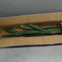 32.5”/82cm Tall Fake Cactus Plant Potted Large Cactus 'Euphorbia Accruensis Cactus' Big Cacti Plants Artificial Cactus for Home Garden Office Decor Housewarming Gifts Faux Cacti