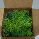 Upgrade Camera Disguise Vase Compatible with Ring Indoor Cam 1st Gen Camera, Includes Adjustable Wedge & Fake Plant