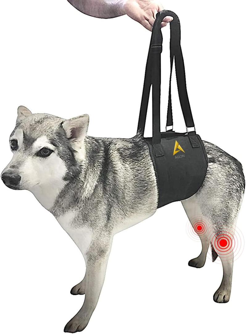 AGON Canine Dog Sling Carrier Support Back Legs Hip Knee Hock Joint Harness to Help Lift Dogs Rear Aid and Old K9 Cruciate (Medium, Black)