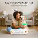 Petcube Cam 360 Camera Interactive WiFi Pet and Home Security Pan-Tilt Camera with Phone App, 1080p HD Video, 360 Rotation, Night Vision, AI Alerts