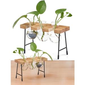 Window Garden Plant Terrarium Glass Vase with Stand - Set of 3 - Real Wood Frame with Transparent Bulb-Shaped Glass - Propagation Stations for Indoor Plants - Wooden Finish