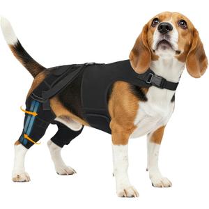 Dog Knee Brace for Torn Acl Hind Leg, Adjustable for Back Leg with 4 Stabilizers, Hip Support to Reduces Pain, Ligament Injuries & Luxating Patella for Small Medium Large Dogs,(Black-M)
