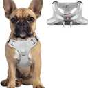Dog Harness Step in Dog Vest Harness, Reflective Adjustable Puppy No Pull Harness Breathable Soft for Small and Medium Dogs Cats, Grey, S
