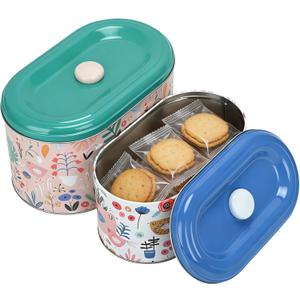 Decorative Metal Storage Tins with Lids, 2 Pack Floral and Bird Pattern Containers, Small 8.8x4.9x4.7 inch and Large 9.8x5.9x5.7 inch (Birds)