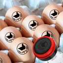 Egg Stamps, Cute Egg Stamps for Fresh Eggs with Stamp Pad Personalized Egg Stamp for Farm Chicken Coop Farmhouse Supplies (Engraved with "Enjoy")