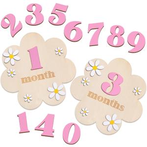 3D Wooden Daisy Baby Monthly Milestone Sign Cards 1-12 Months Interchangeable Monthly Milestone Wood Discs Announcement Sign for Baby Shower Newborn Photo Props Gifts(Pink)