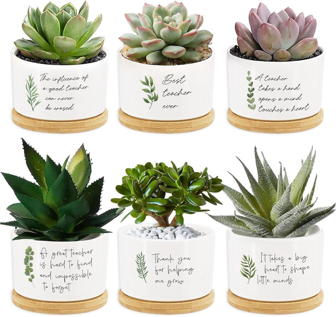 Tarklanda 6Pcs Teacher Appreciation Gifts Succulent Pots Mini Ceramic Plant Pots with Bamboo Tray Green Plants Pots Planters for Best Teacher Thank You for Helping Me Grow Plants Not Included