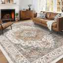 6x9 Area Rugs for Living Room Ultra-Soft Washable Rug Vintage Distressed Boho Area Rug, Non-Slip Retro Print Low Pile Stain Resistant Carpet for Bedroom Dining Room Kitchen Office