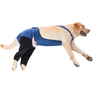 Coodeo Dog Recovery Suit Prevent Licking, Biting (L, Blue)