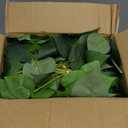 alyptus Fake Pothos Hanging Plants 33" Set of 2 Faux Ivy Vines with Pots Realistic Silk Devils Ivy for Indoor Dcor Low Maintenance Artificial House Plants for Home Bathroom or Office - Green