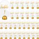 30 Pack Gold Acrylic Wedding Table Numbers 1-30 with Stands 4 x 6 Inch Acrylic Table Signs with Gold Round Card Holder Wedding Seating Chart for Reception Decorations Event Party (Arch)