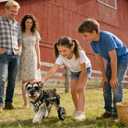 Dog Wheelchair for Small Medium Large Dogs, Adjustable 4-Wheel Mobility Aid, Lightweight Rehabilitation Brace (4 Wheels, L)