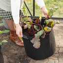 OwnGrown Plant Growing Bags : 5x8 Gallon Plant Grow Bags for Balcony or Garden Plants  Potato Grow Bags  Water-Permeable Garden Planters  Vegetable Planters for Outdoor Plants Outdoor Planter