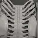 5.4ft Halloween Posable Skeleton Realistic Life Size Human Skeleton Bones with Movable Joints for Halloween Haunted House Indoor Outdoor Dcor (1Piece)