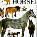 Ultimate Horse Book