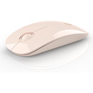 RAPIQUE Bluetooth Wireless Mouse - (BT5.1+USB) Slim Dual Mode Computer Mice with Quiet Click, Low Power, and 1600 DPI, Portable Cordless Mouse for MacBook, Laptop, iPad Pro/Air, Tablet (Pink)