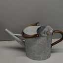 1 Gallon Metal Watering Can with Removable Spout, Nice Galvanized Steel Water Can with Embossed Design for Indoor and Outdoor Plants (Silver)