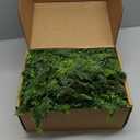 9ft Christmas Cedar Garland with Soft Thickness Pine, Artificial Green Faux Cedar Pine Garland for Mantle Fireplace Indoor Outdoor Holiday Party Home Decoration2 Pcs