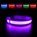 MASBRILL Light Up Dog Collar - LED Dog Collar Rechargeable Waterproof Night Walking Glow Collar for Dogs (M, Purple)