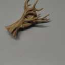 Jumping Spider Tree, Spider Hiding Cave, Tree-Shaped Climbing Toy & Cave, 3D Printed Decorative Accessory for Jumping Spiders, Wolf Spiders, Mantises & Small Arboreal Animals (Wood Color)