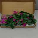 Fqueelvys 6PCS 7.55FT Bougainvillea Artificial Flowers Garland Faux Bougainvillea Silk Flowers Vines for Wedding Arch Wall Centerpieces Table Runner Decorations(Fuchsia)