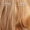 John Frieda Go Blonder Lightening Spray, Hair Lightening Spray for Blonde Hair, 3.5 fl oz, Pack of 2