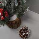 Small Christmas Tree Tabletop Artificial Mini Christmas Tree Decorations with Holiday Ornaments Red Berry Pine Cone Greenery for Home Indoor Fireplace Mantel Xmas Decor (Tree Stump-Red)