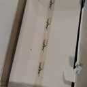 Skar Audio Dual 12" Complete 2,400 Watt SDR Series Subwoofer Bass Package - Includes Loaded Enclosure with Amplifier