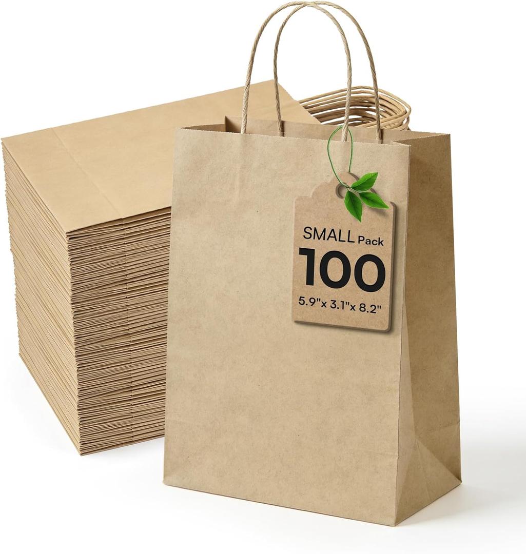 Small Paper Gift Bags with Handles Brown Paper Bags 100 pcs 5.9"x3.1"x8.2", Sturdy Small Gift Bag Bulk Kraft Wrap Shopping Bags for Small Business Retail Merchandise Wedding Birthday Goodie Party Favor