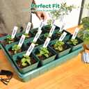 June Fox 60 Pcs Square Nursery Pots for Plants, 5 Pcs Seed Starter Tray Kit, Small Seedling Pots 4 Inch with 60 Plant Tags, Seedling Trays (Green)