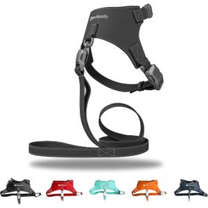 Magnetic Buckle Dog Leather Harness with 4 FT Leash | Anti-Wrinkle & Anti-Bite Leather | Ultra-Soft & Skin-Friendly | 450LB Escape-Proof Magease - Easy On/Off (Black, Small)