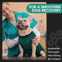 FUAMEY Recovery Suit for Dogs After Surgery,Soft Breathable Dog Bodysuit E-Collar & Cone Alternative Surgical Suit,Male Female Dog Neuter Spay Suits Anti Licking Wounds Onesie Green Black Stripes L (Green, L)