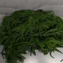 2-PCS 6 Ft Artificial Norfolk Pine Garland - Realistic Winter Greenery for Christmas, Mantel, Table & Outdoor Decor, Flexible & Long-Lasting